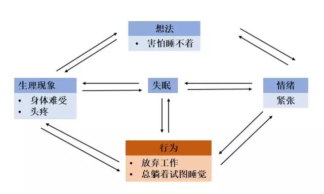 我的失眠自救日记