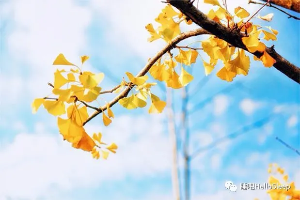 积极面对，你会比你自己想象的更强大